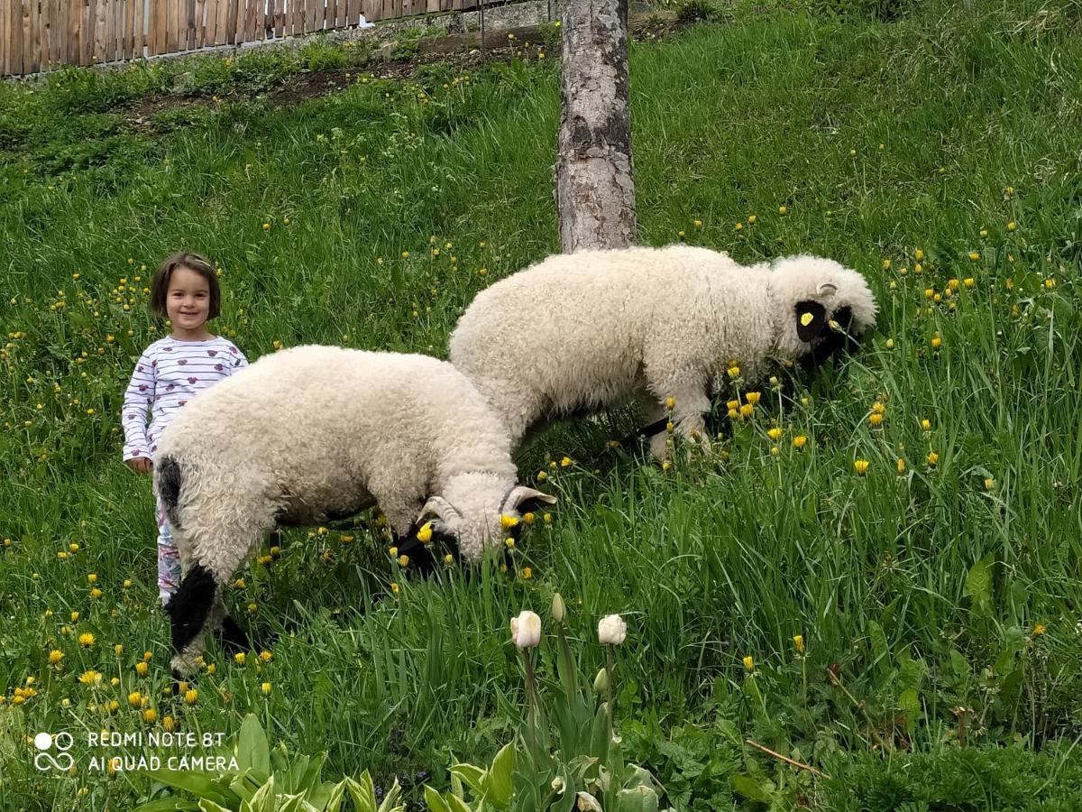 Apartament Lüch Picedac La Val Zewnętrze zdjęcie